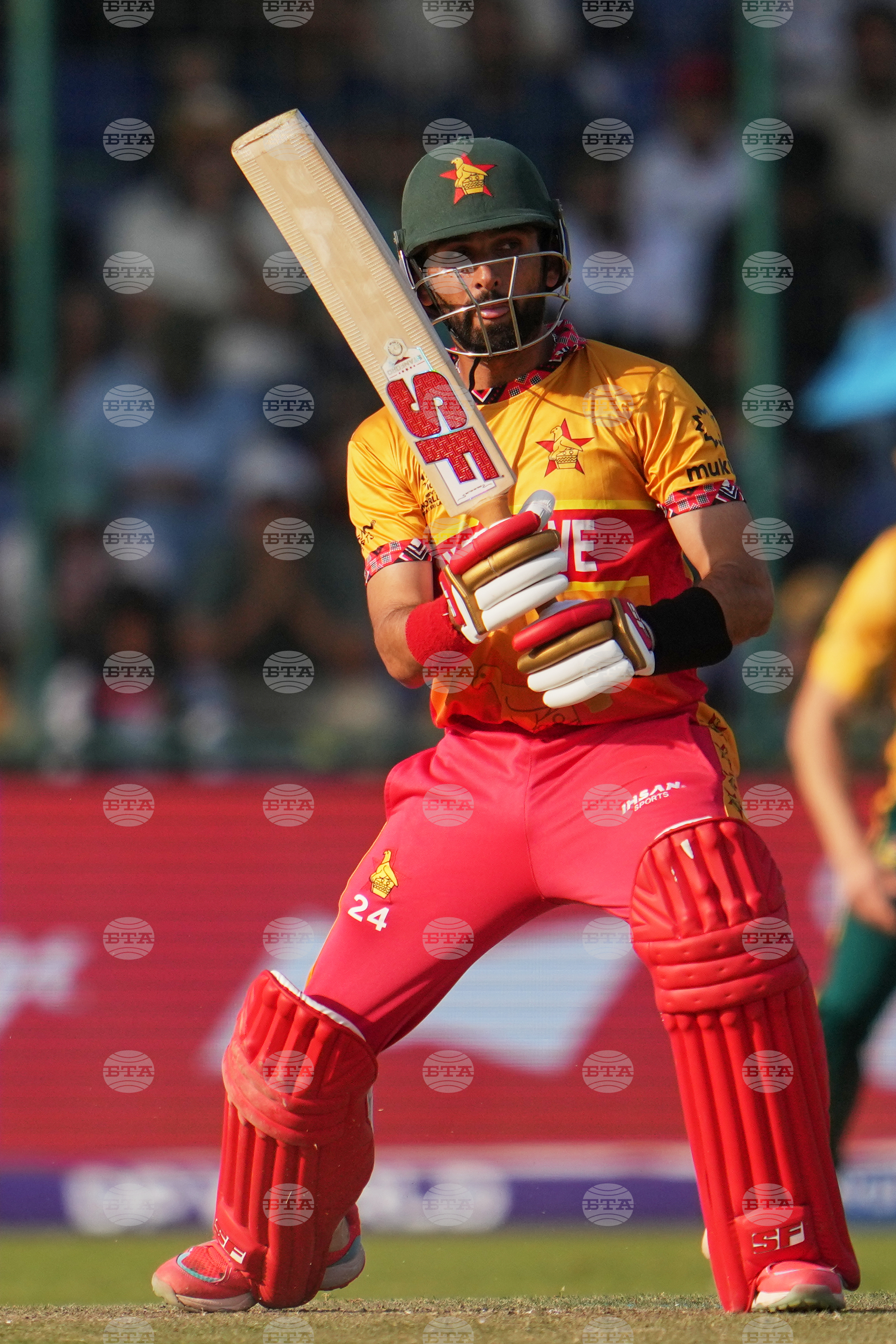 South Africa and Zimbabwe T20 WCup Cricket