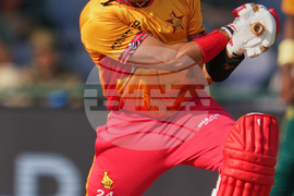 South Africa and Zimbabwe T20 WCup Cricket