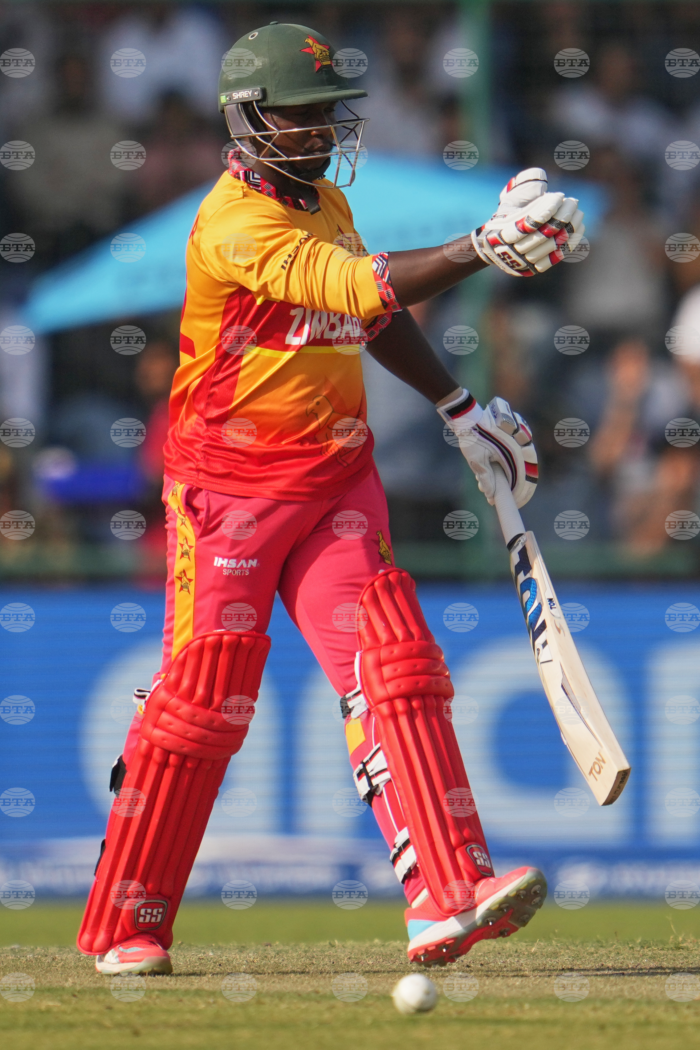 South Africa and Zimbabwe T20 WCup Cricket