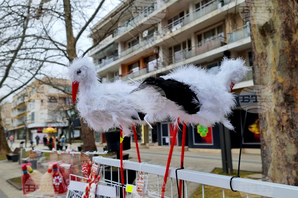 Враца - Баба Марта - отбелязване