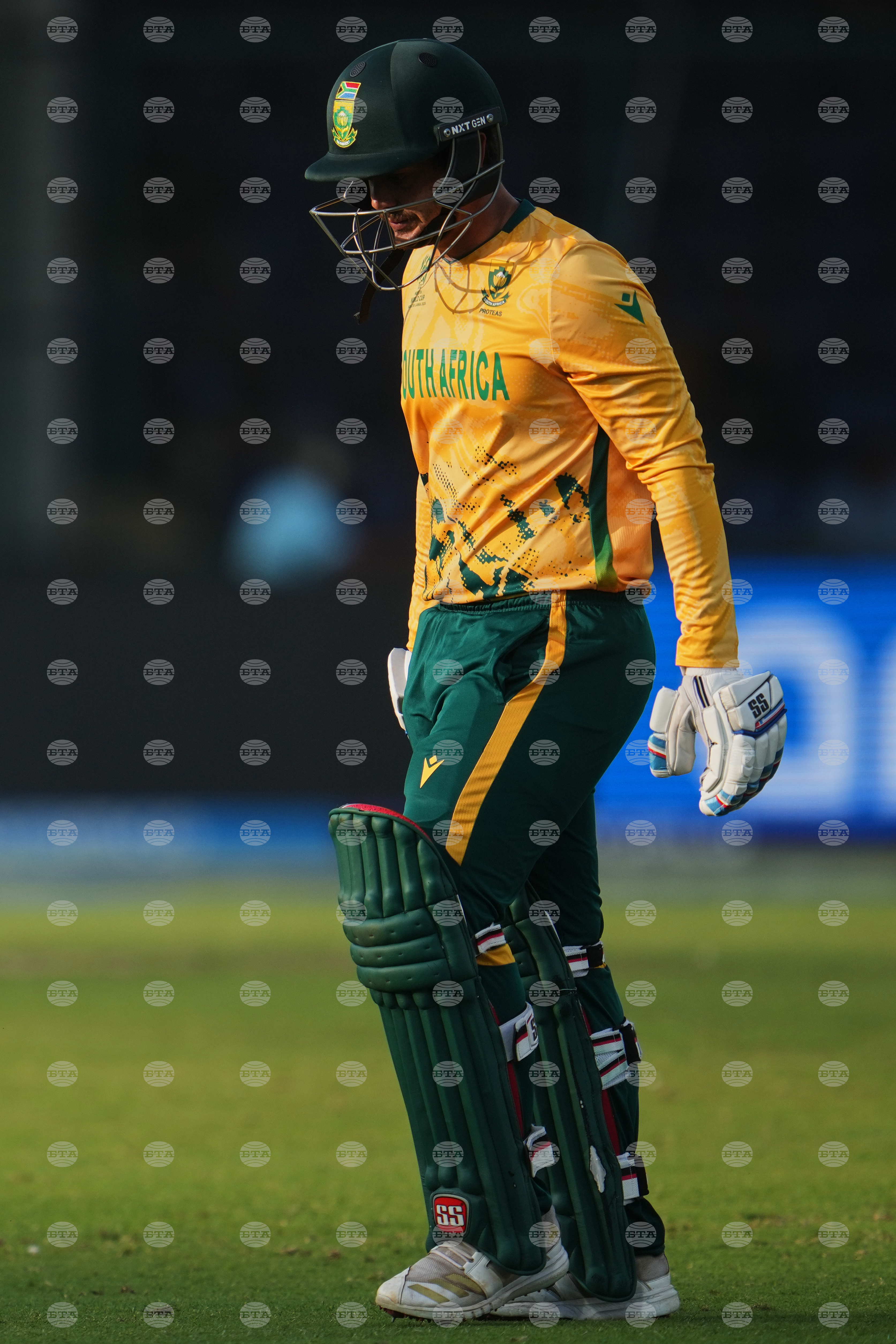 South Africa and Zimbabwe T20 WCup Cricket