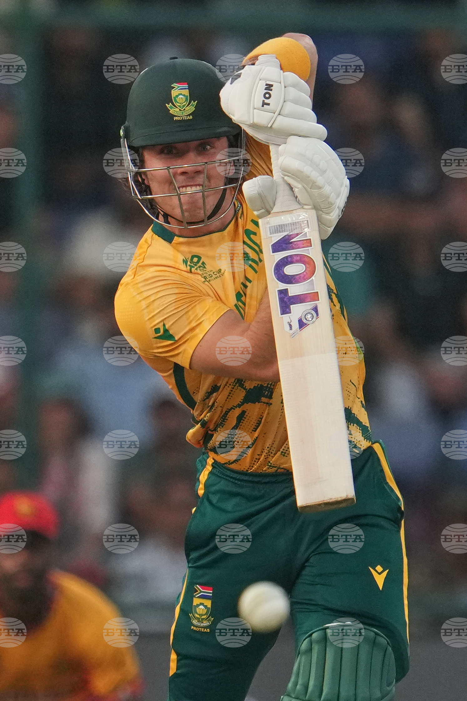 South Africa and Zimbabwe T20 WCup Cricket