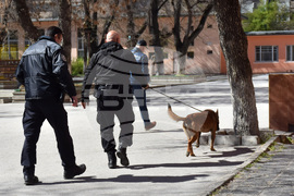 Пловдив - бомбени заплахи