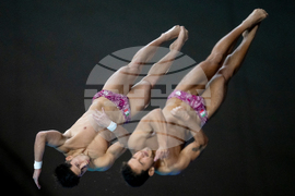 Canada Diving World Cup