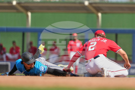 Marlins Nationals Spring Baseball
