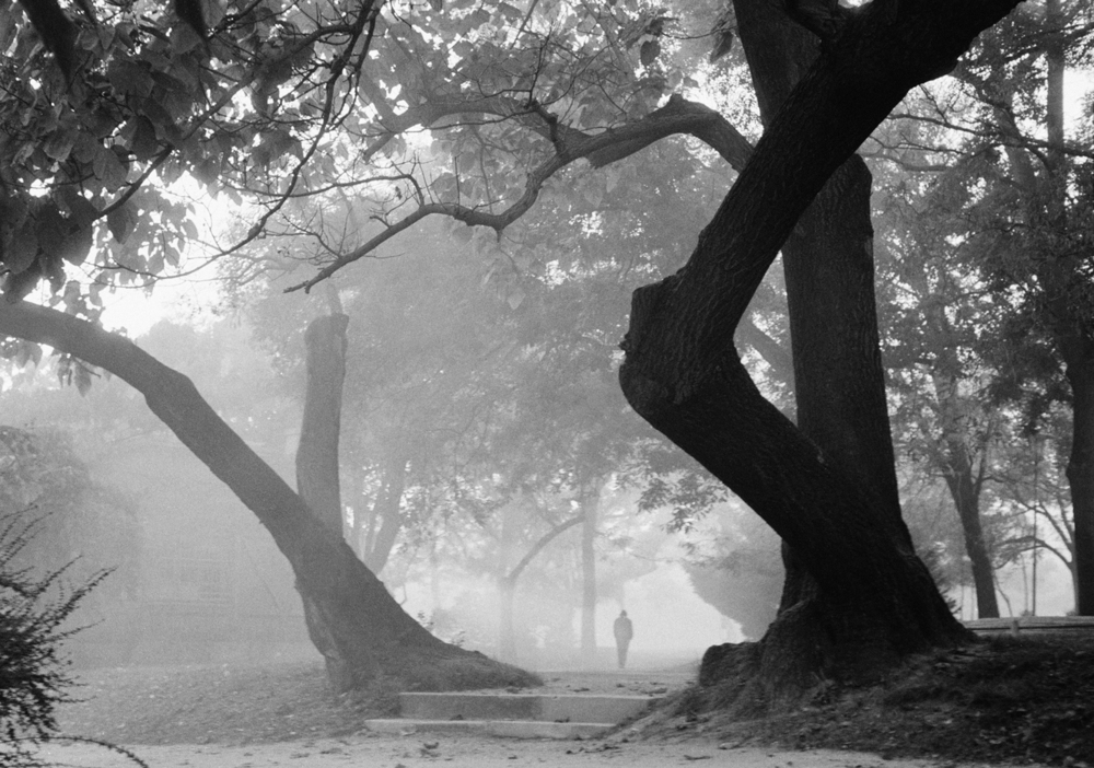 From April 4 to May 14, the Sofia City Art Gallery will host a photo exhibition titled Lotte Michailova: THE COMEBACK. Shy Intimacy.