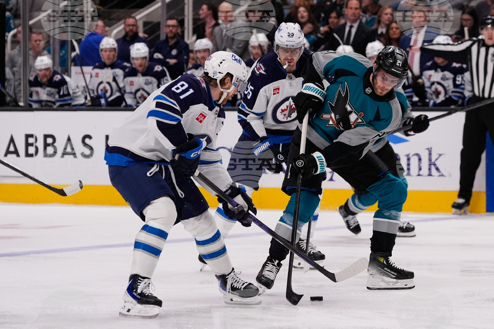 Jets Sharks Hockey