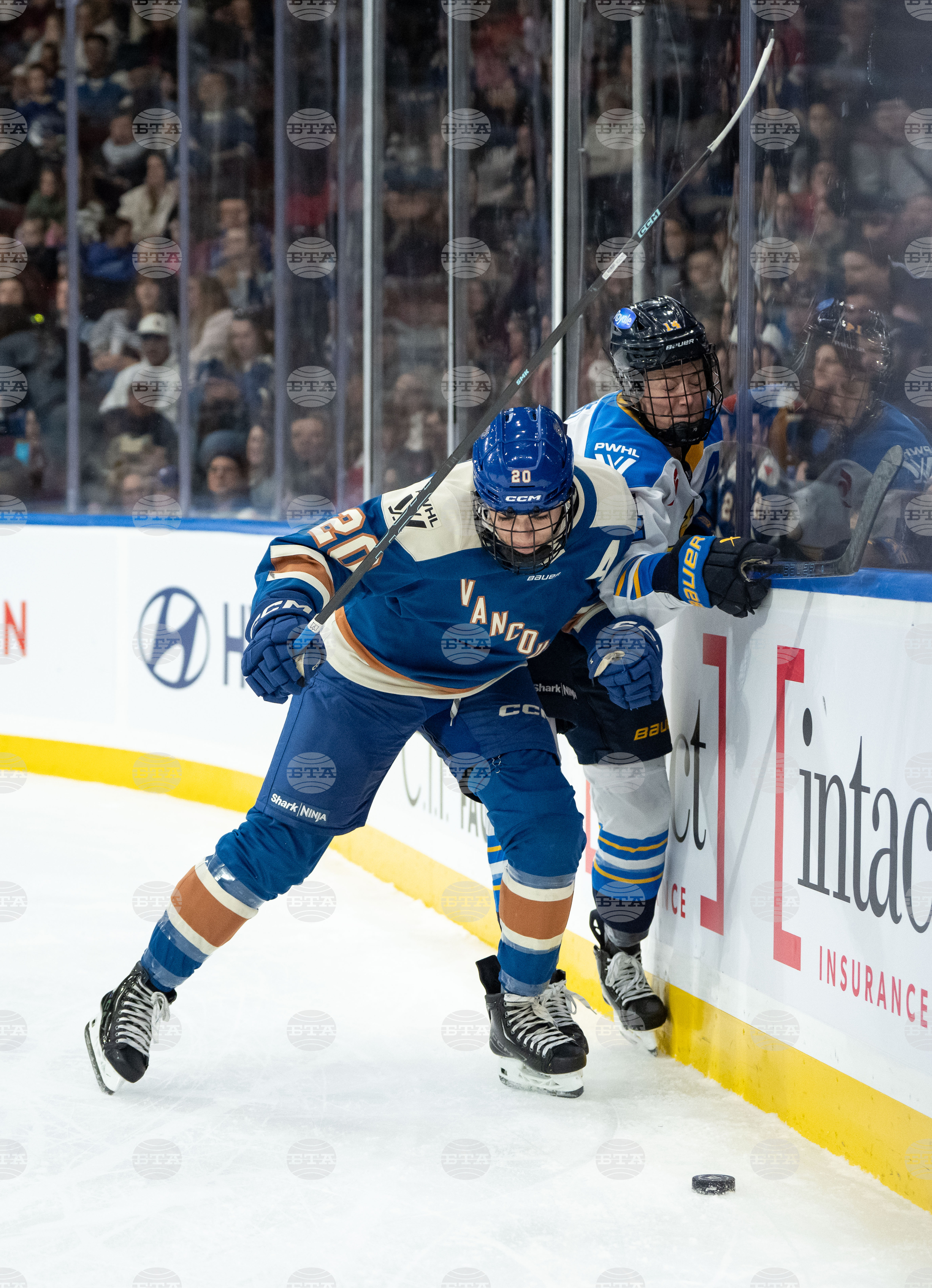 PWHL Sceptres Goldeneys Hockey