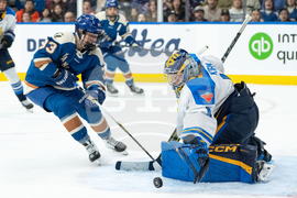 PWHL Sceptres Goldeneys Hockey