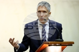 Фернандо Гранде-Марласка - изявление