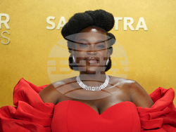 32nd Annual Actor Awards - Arrivals