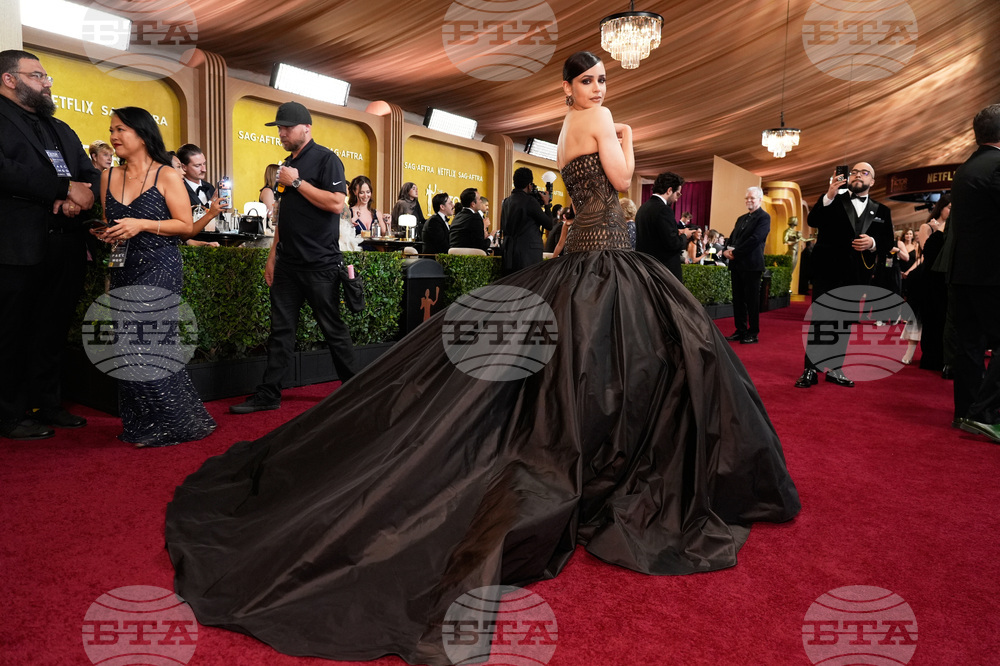 32nd Annual Actor Awards - Red Carpet