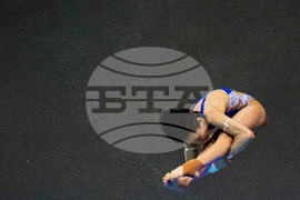 World Cup Montreal Diving