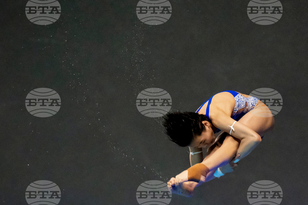 World Cup Montreal Diving