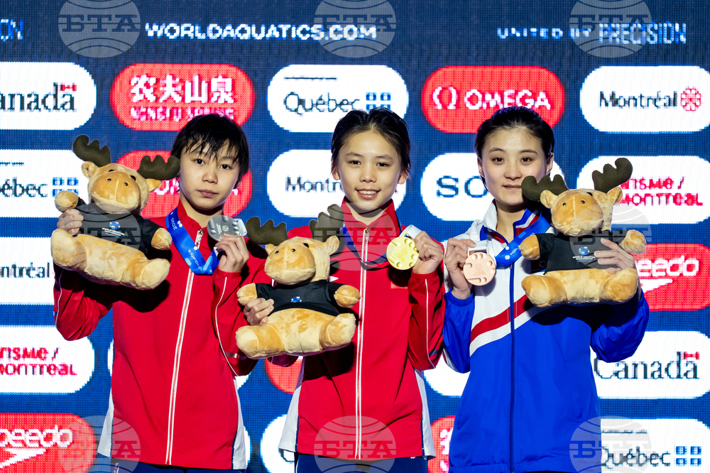 World Cup Montreal Diving
