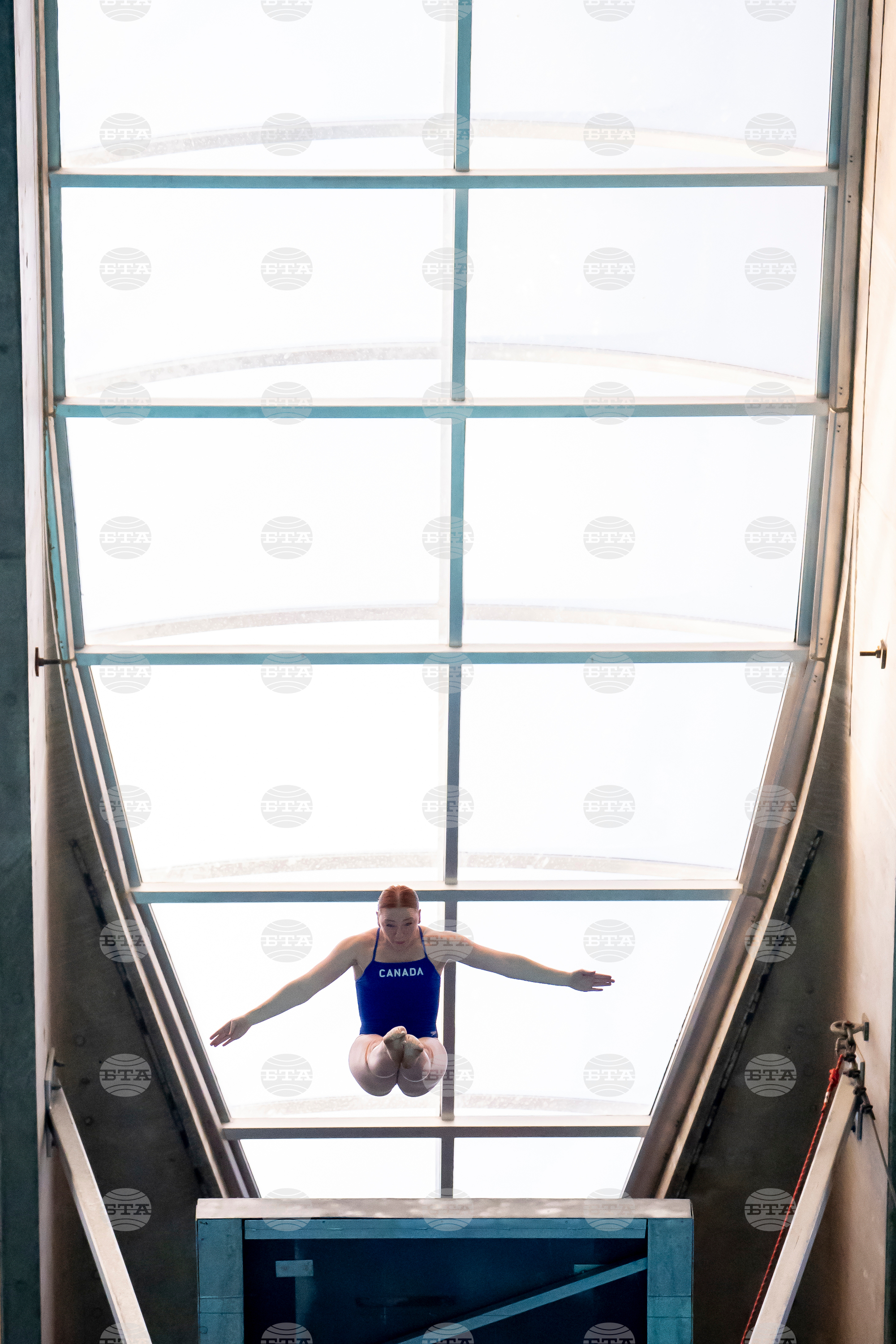 World Cup Montreal Diving