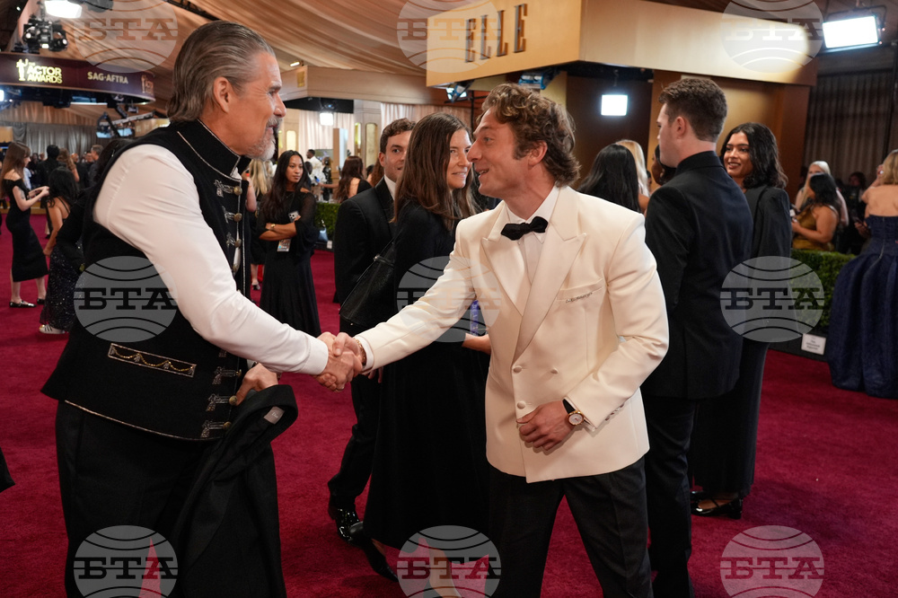 32nd Annual Actor Awards - Red Carpet