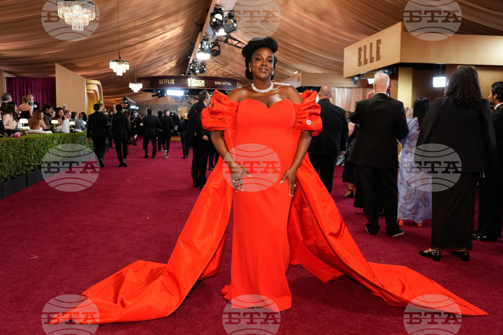 32nd Annual Actor Awards - Red Carpet