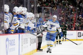 Blues Wild Hockey