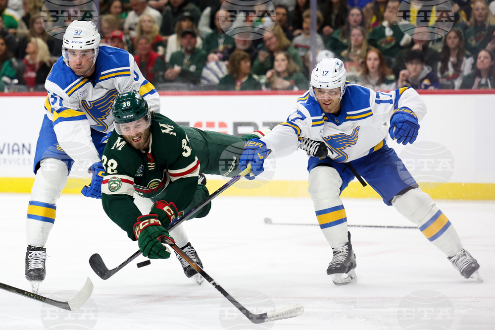 Blues Wild Hockey