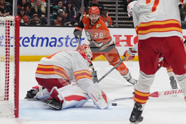 Flames Ducks Hockey