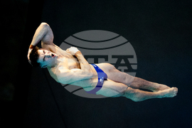 World Cup Montreal Diving