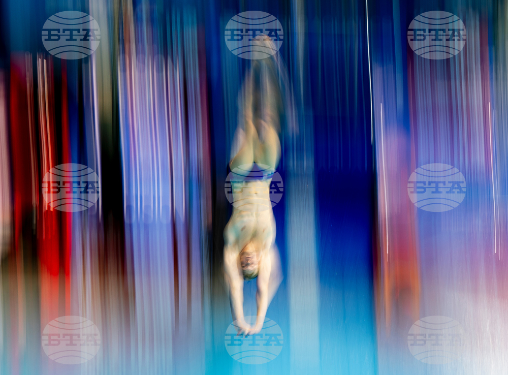 World Cup Montreal Diving