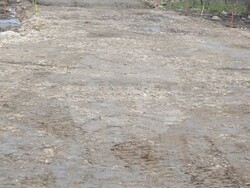 Снимка: Община Асеновград