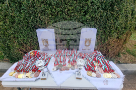 Плевен - лекоатлетическата щафета и крос „Обиколка на Военноисторическите музеи“