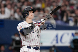 WBC Japan Baseball