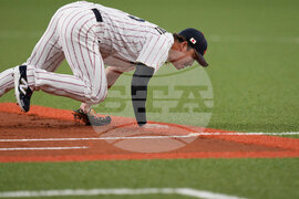 WBC Japan Baseball