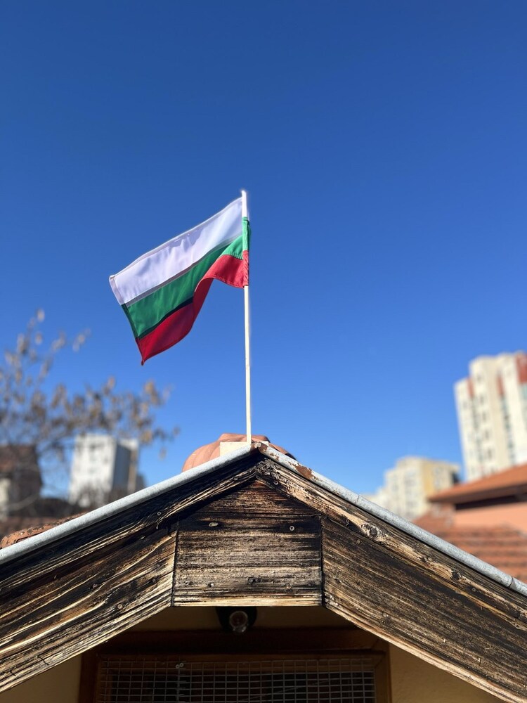 В Ловеч раздадоха на ученици 600 български трибагреници, с които да украсят домовете си по случай Националния празник - 3 март