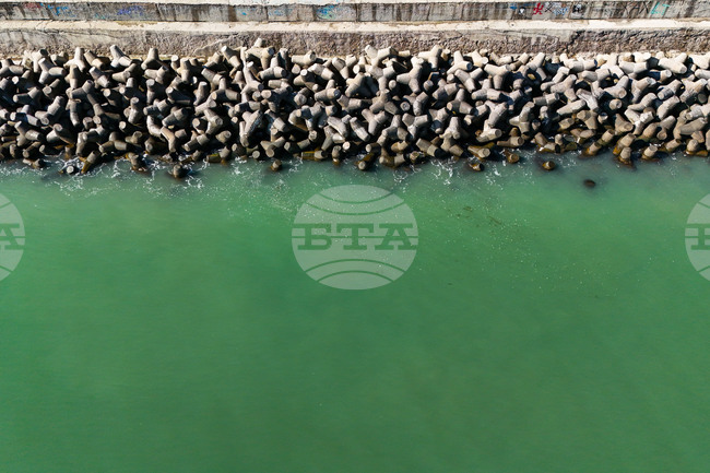 Кметът на Царево подкрепи колегата си в Приморско срещу намерение за изграждане на ферма за пъстърва в Черно море 