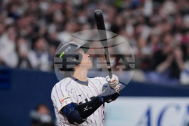 WBC Japan Baseball