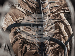 Triceratops Skeleton Auction