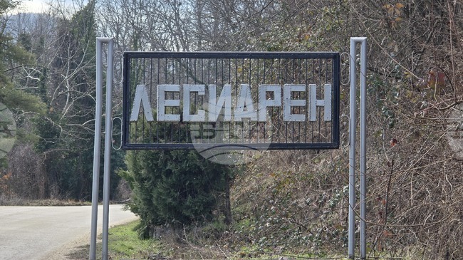 Предстои унищожаване в екарисаж на кайма и месо от търговски обект в угърчинското село Лесидрен