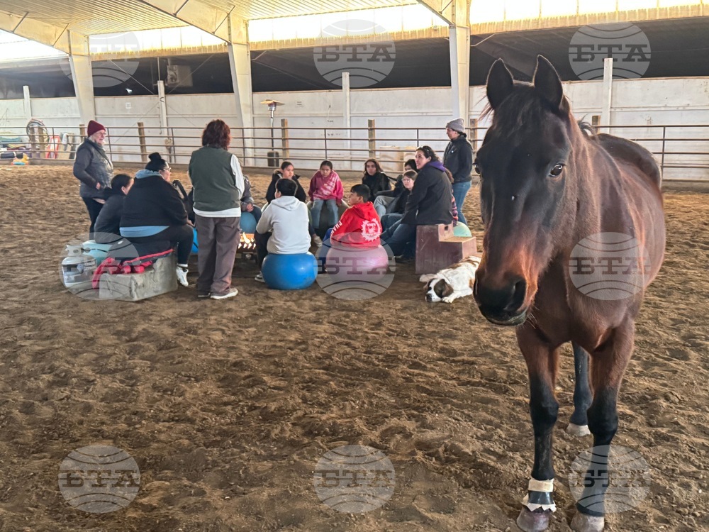 Equine Therapy