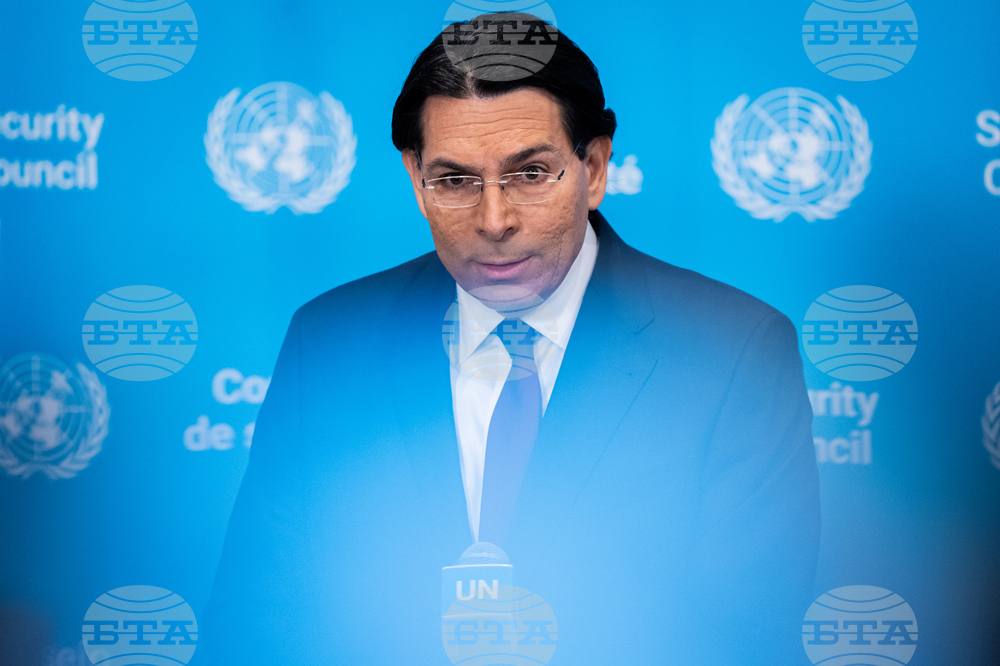 UN Security Council