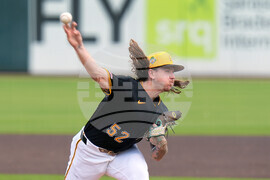 Rays Pirates Baseball