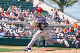 Braves Tigers Spring Baseball
