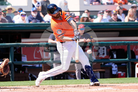 Braves Tigers Spring Baseball