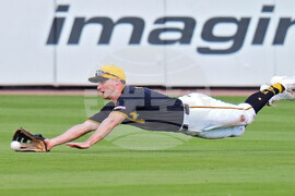 Rays Pirates Baseball