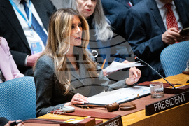 UN Security Council