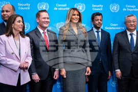 UN Security Council