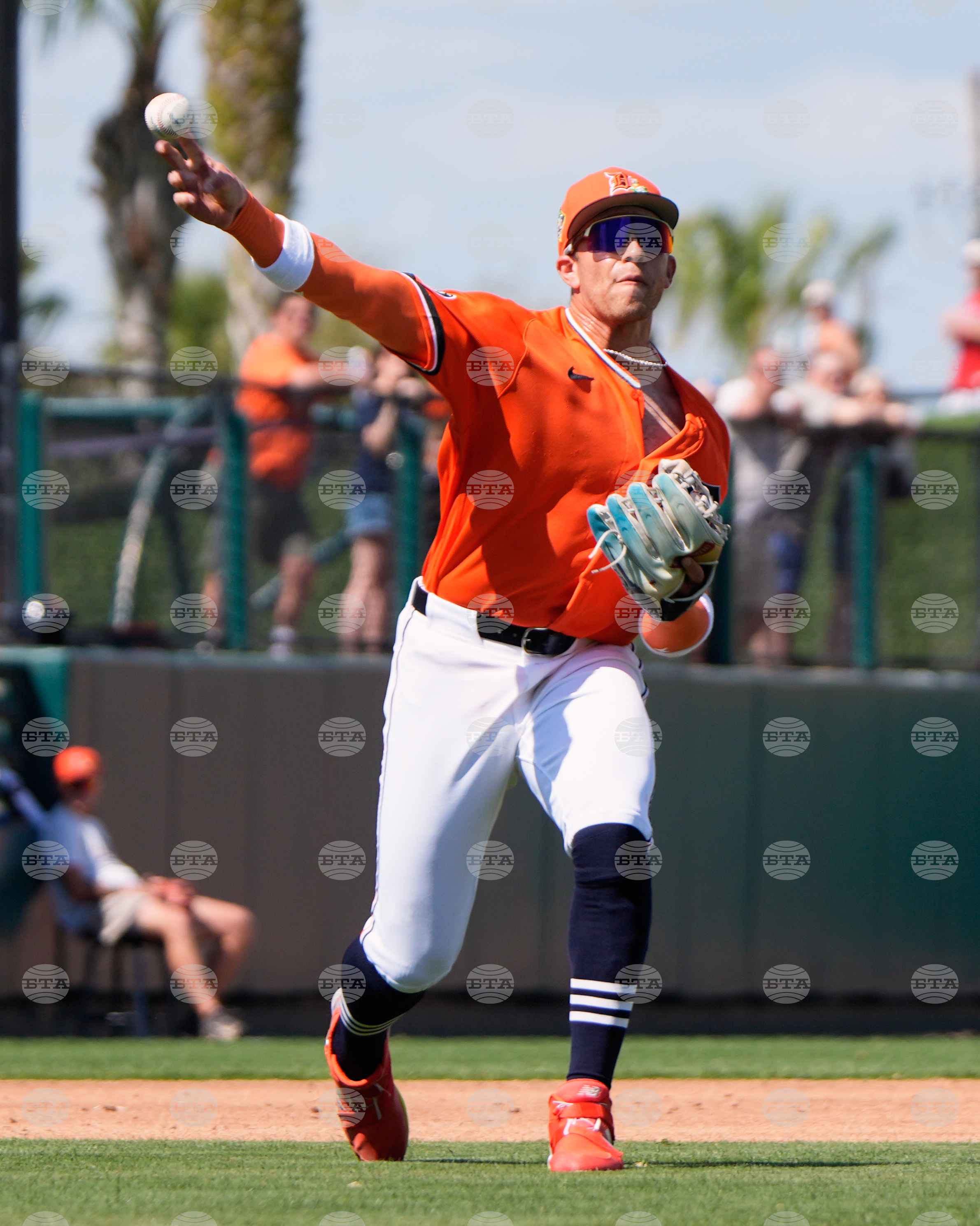 Braves Tigers Spring Baseball