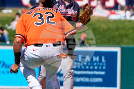 Braves Tigers Spring Baseball