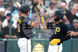 Rays Pirates Baseball