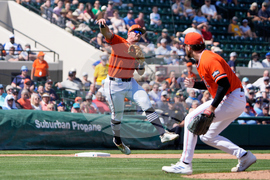 Braves Tigers Spring Baseball