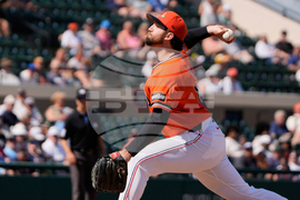 Braves Tigers Spring Baseball