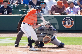 Braves Tigers Spring Baseball